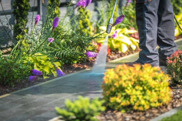 Professional Pressure Washing Services in Forreston, IL